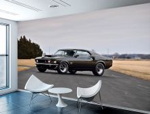 Fototapete automobili 16